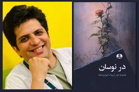 محسن باقری اصل نقد در نوسان